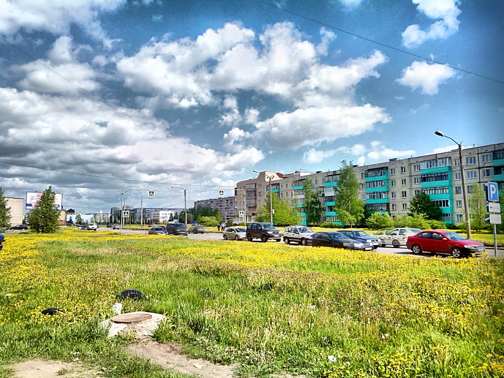 Veliky Novgorod, Novgorod Oblast, Russia by Дмитрий Cкляренко