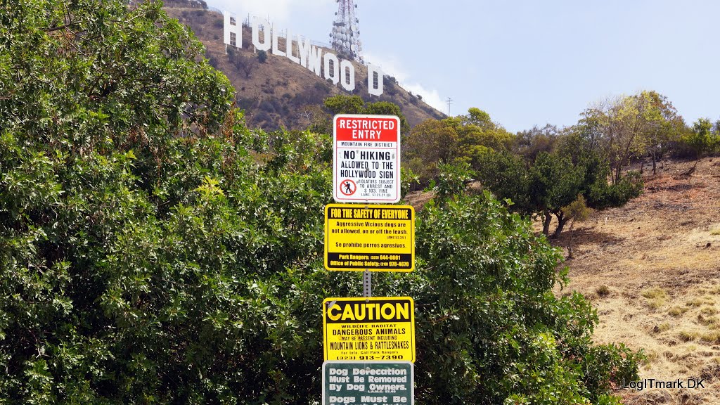 Hollywood Hills, Los Angeles, CA, USA by Mickey Løgitmark