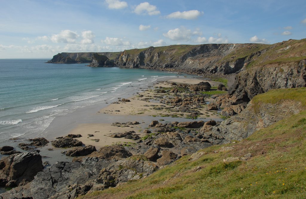 Midway between Lizard Point and Kynance Cove by Fred Wilkinson