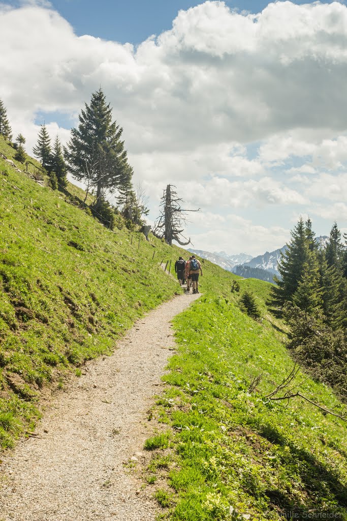 Wanderweg auf dem Baumgarten, 2015 by Familie Schneider