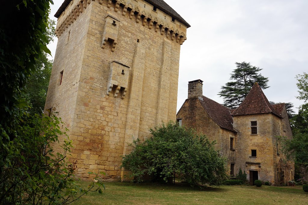 24290 Saint-Léon-sur-Vézère, France by Pedro Sainz