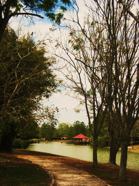 Paseo del jardín japonés by Polito_1936