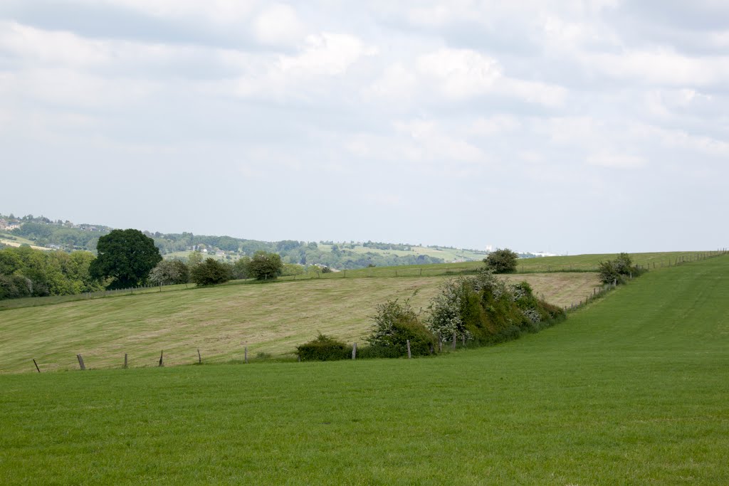 Panoramazicht, Presseux by Roger Geijsels