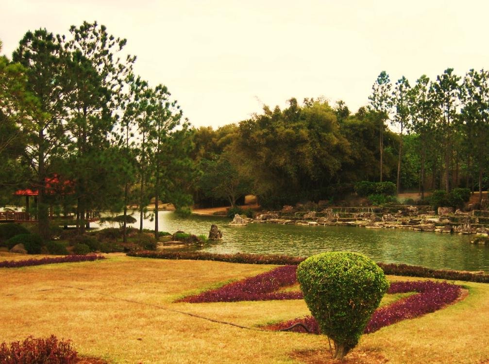 Lago del jardín japonés by Polito_1936