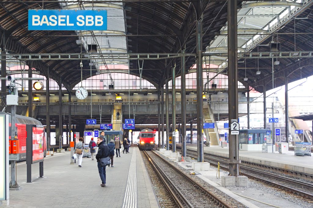 On the platform, Basel Bahnhof by Andrey Sulitskiy