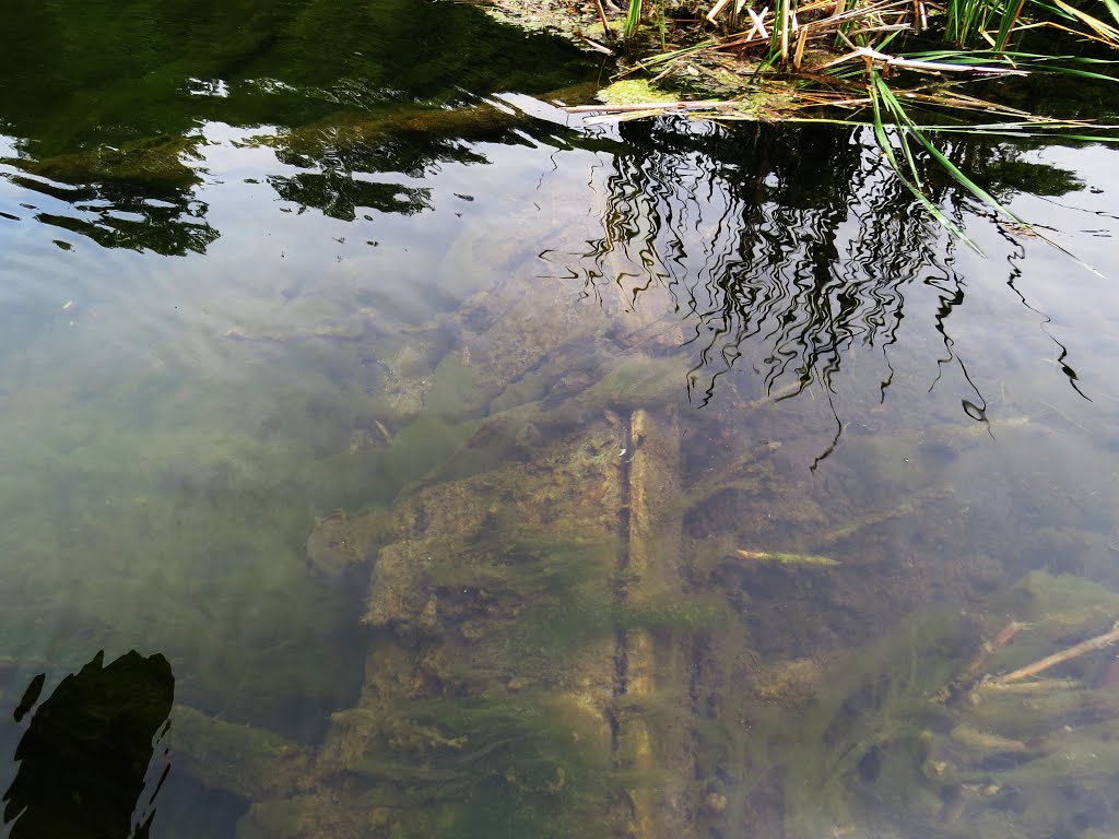 Ancient weir from about 1850 to raise the level of Thirteen Island Lake to assist with floating logs at the north end of the lake. by Steve Manders