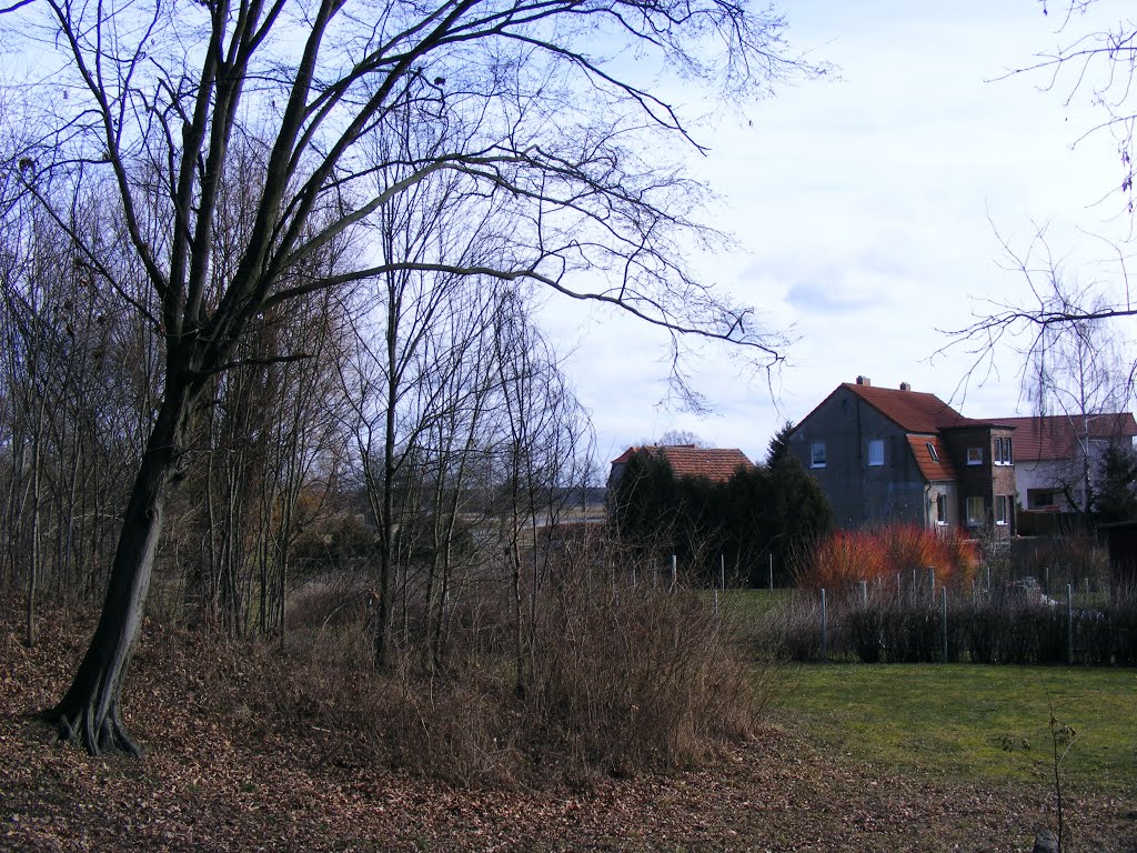 Möllendorf, Gemeinde Sonnewalde, Niederlausitz. Abgebaut, der östliche Teil der Slawischen Burgwallanlage. by velthurvik