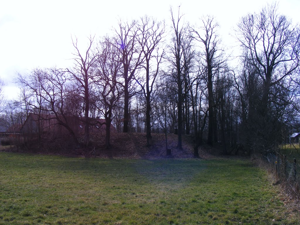 Möllendorf, Gemeinde Sonnewalde, Niederlausitz. Burgwall-Anlage von Norden aus gesehen. by velthurvik