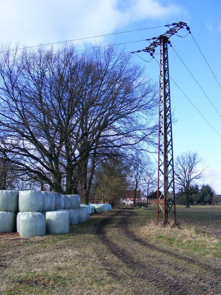 Möllendorf, Gemeinde Sonnewalde, Niederlausitz. Triftweg zur Straße nach Goßmar. by velthurvik