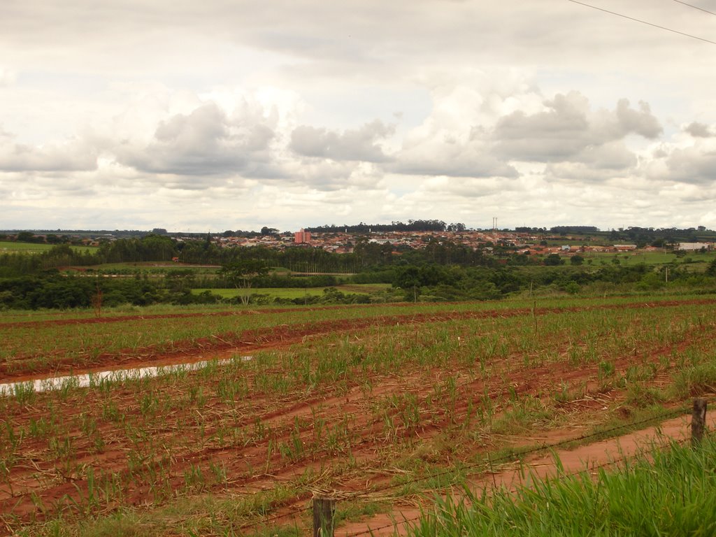 Vista da cidade de Borborema da estrada da Prainha by Tadashi