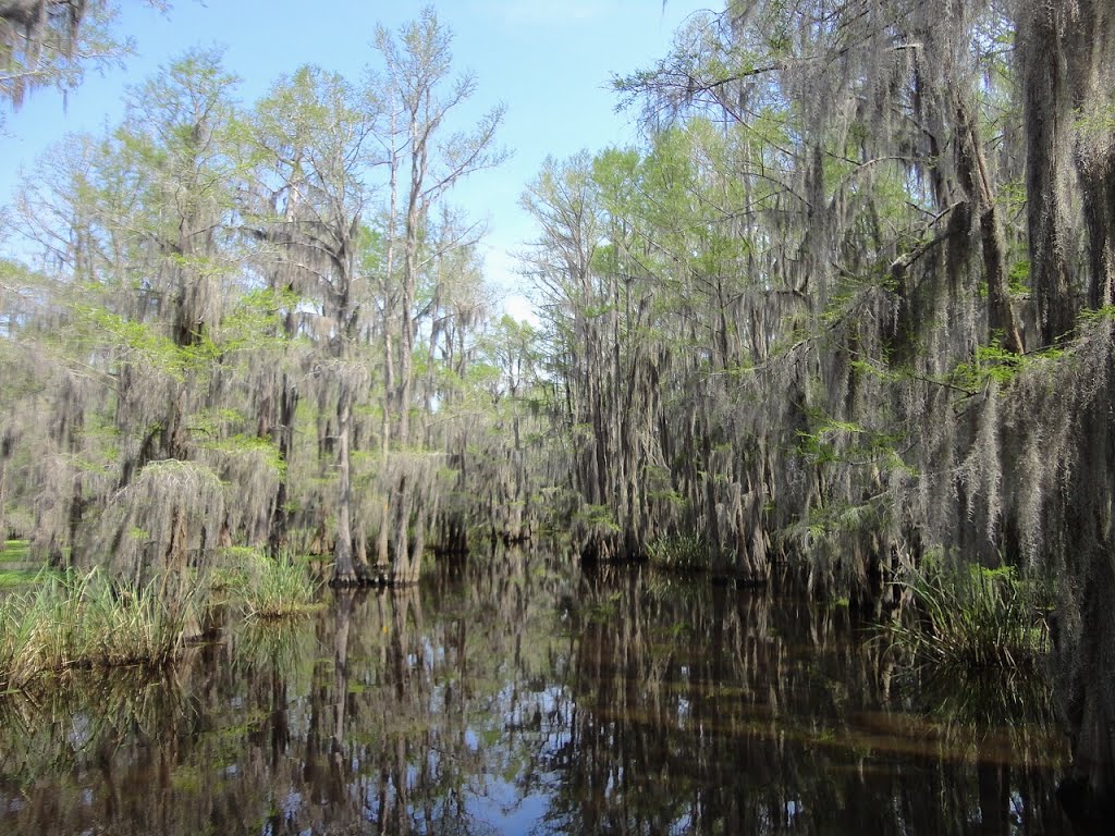 Carter Lake Bayou by Ed Bishop