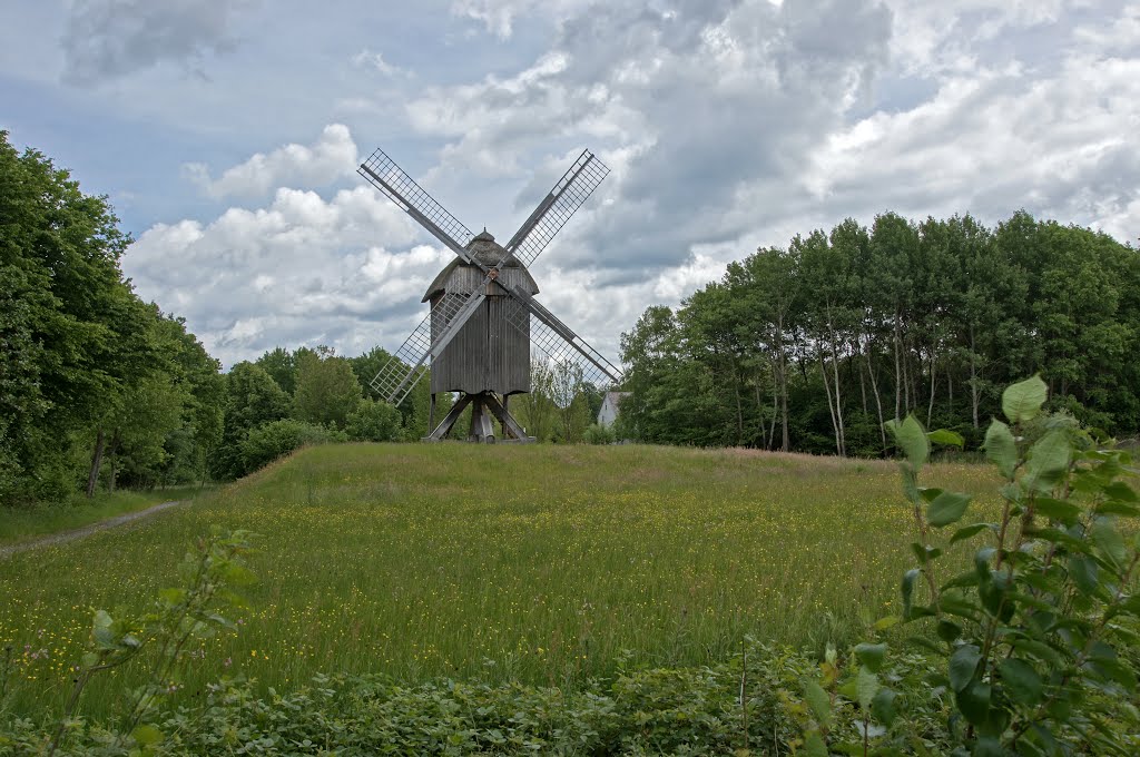 Neu-Anspach, Germany by Jürgen Düring