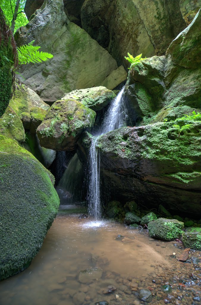 Amselgrundbach by Dirk Frenzel