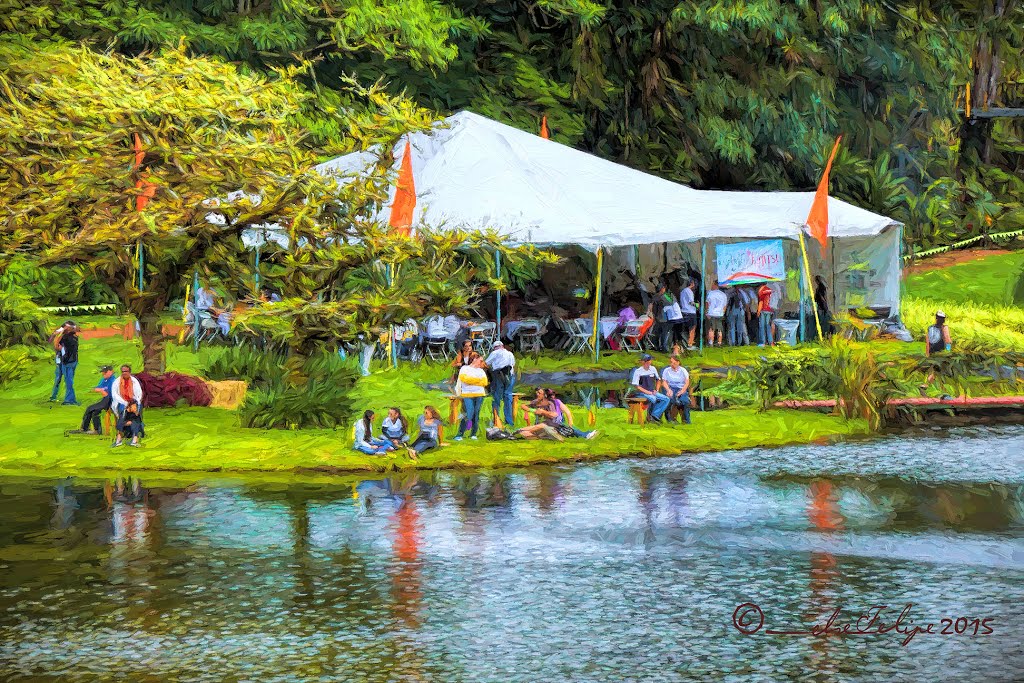 Colinas del Poás, Costa Rica by Melsen Felipe