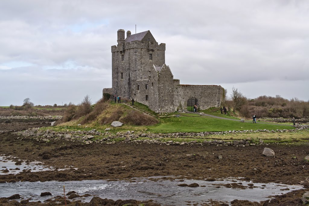 Dunguaire Castle by andrew mcmillan