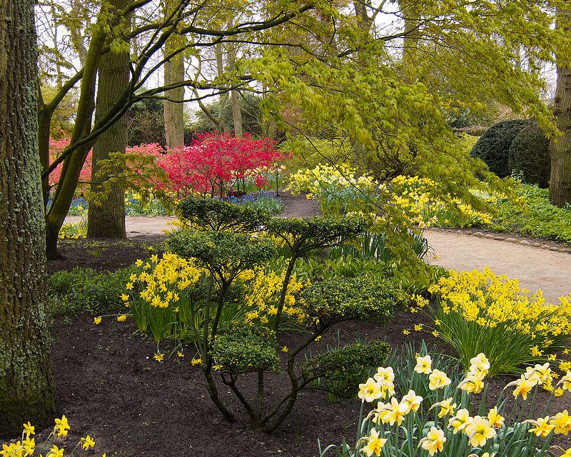 Keukenhof Gardens by Aaron Nuffer