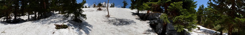 三ツ石山登山道の残雪2('15.5.30) by Mikochan