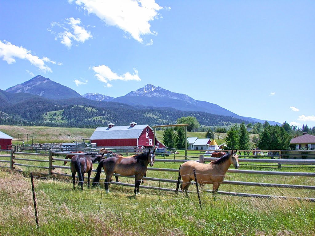 Horses, ranch and mountains in Paradise Valley by CraigDNicholson