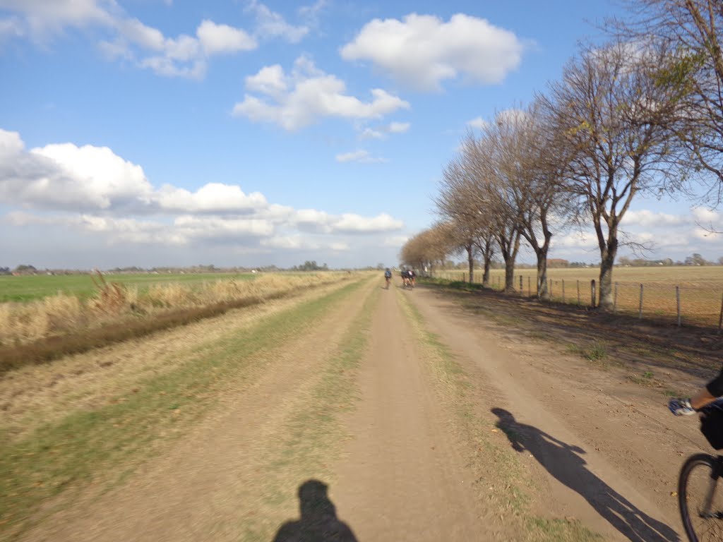 Ibarlucea, Santa Fe Province, Argentina by Oscar Tognocchi