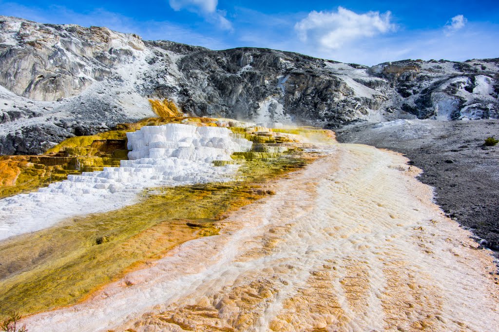 Park County, WY, USA by Stefan R.