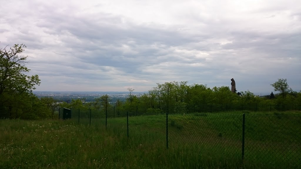 Vallée du Rhone & La Madone by Tiphaine Tulic