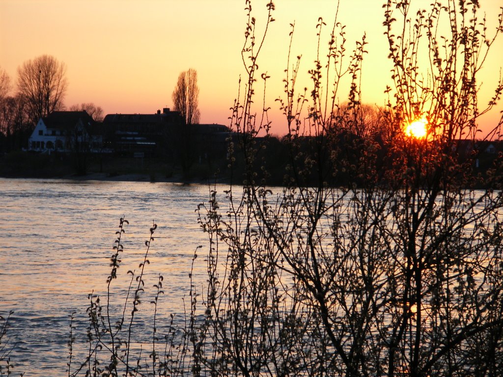 Sunset opposite Düsseldorf-Kaiserswerth by Francueil