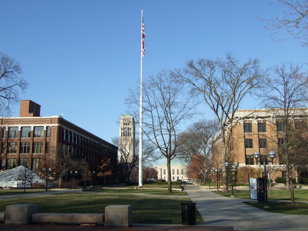 View from the Diag by Peter Maunz