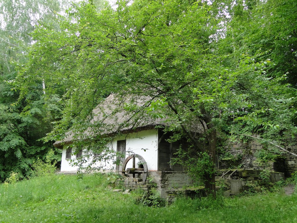 Музей народной архитектуры и быта Украины в Пирогово. Водяная мельница. by Наталья Филатова