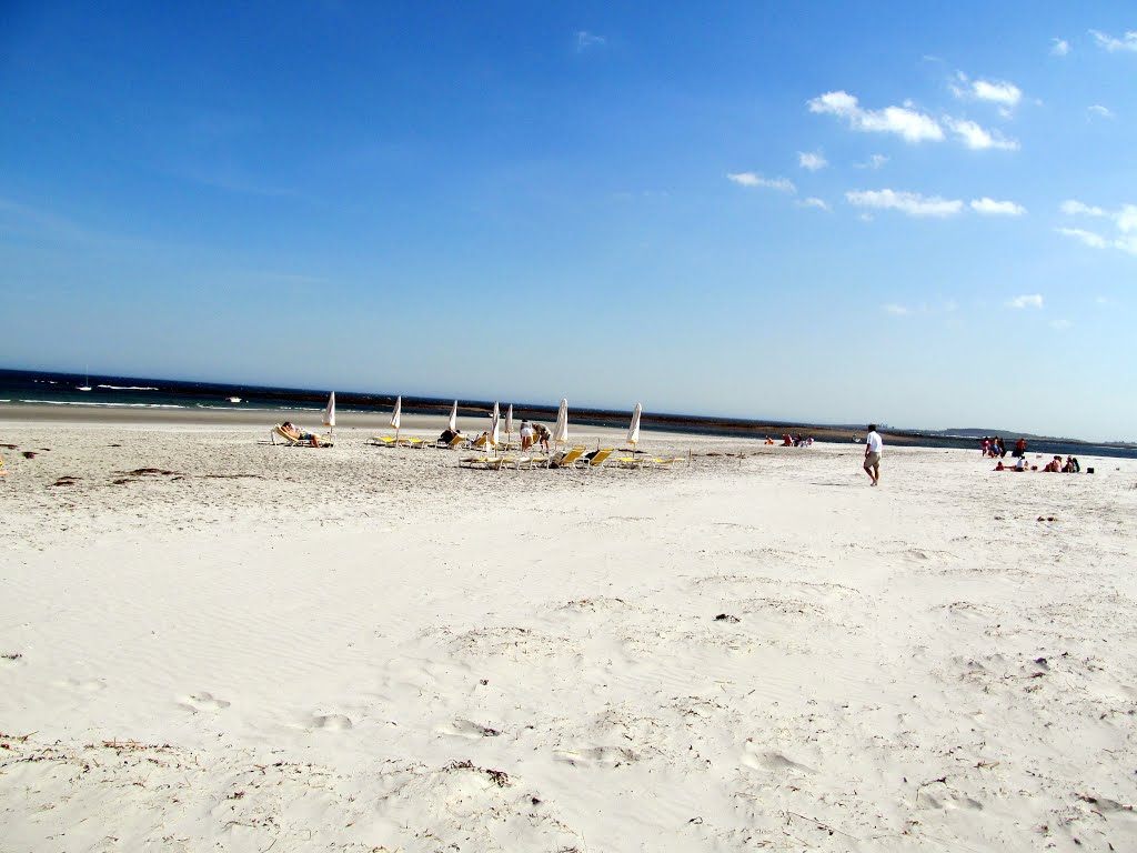 Goose Rocks Beach by Teresa Chrzanowski F…