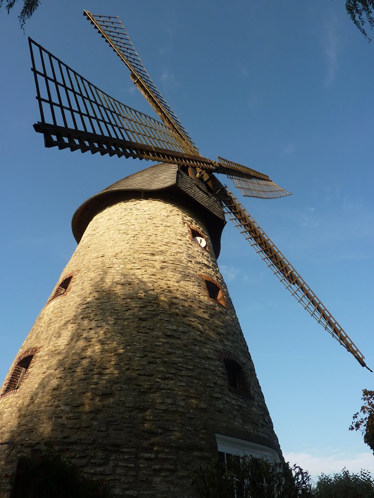 Windmühle 48366 Laer, Deutschland by Klaus Heyna