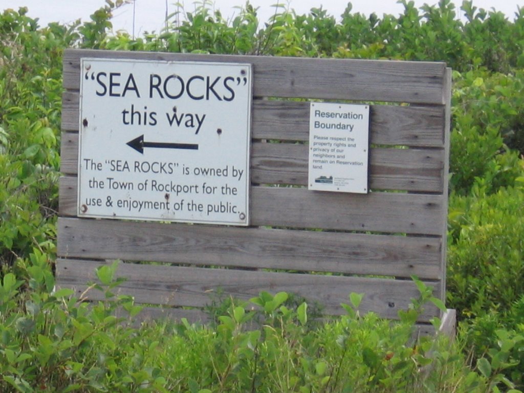 Halibut Point State Park by Matthew P.