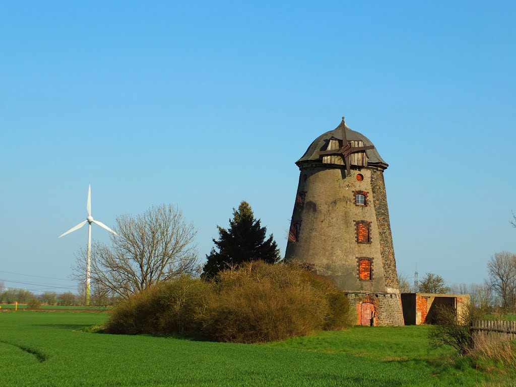 Germany_Saxony-Anhalt_Altmark_Groß Ammensleben_tower windmill ruin without wings_DSCF3365 by George Charleston