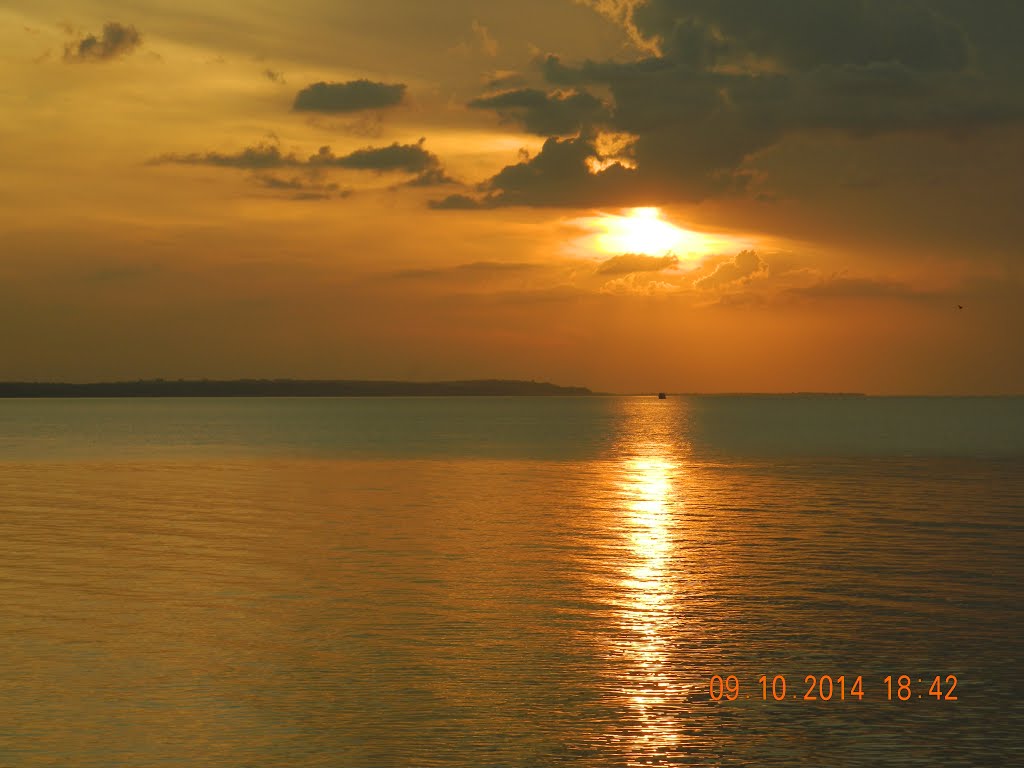 Manaus - State of Amazonas, Brazil by Jone Uchôa