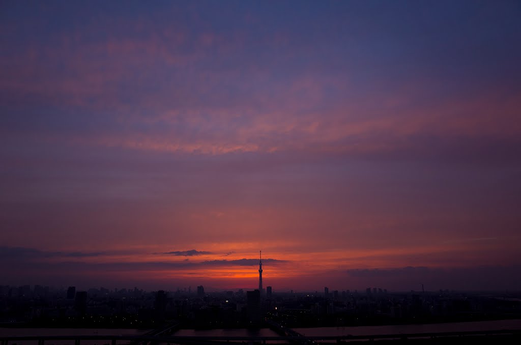 Tokyo Sky Tree / 東京スカイツリー by Kangoo_