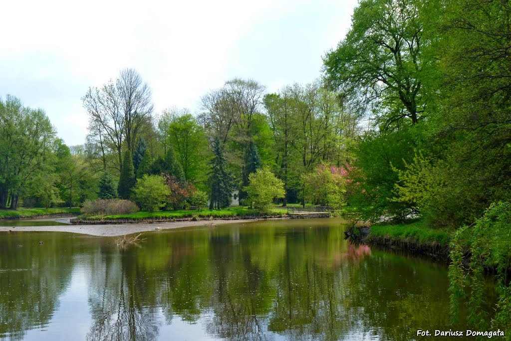 Pszczyna. Park Zamkowy. by Dariusz Domagała