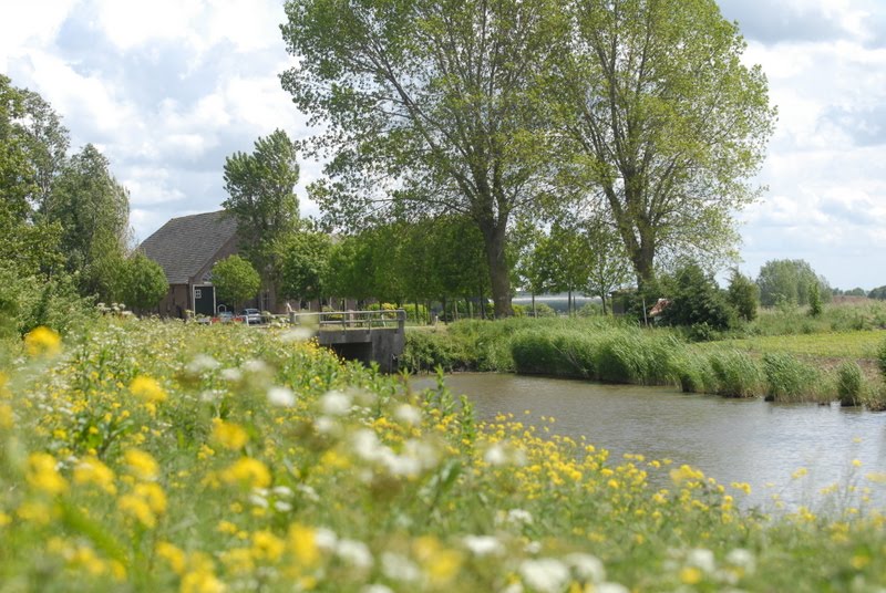 Het Sandee bij Goudswaard. by Arij M van Waart