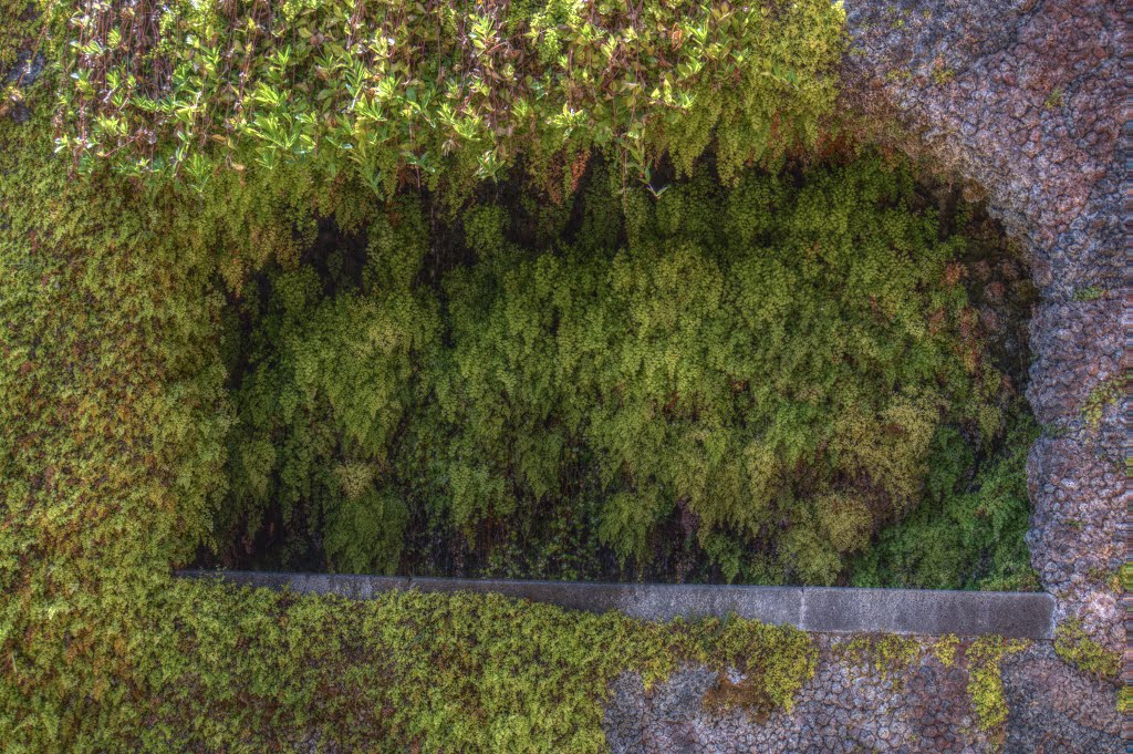 São Martinho, Funchal, Portugal by Wolfgang Nitschmann