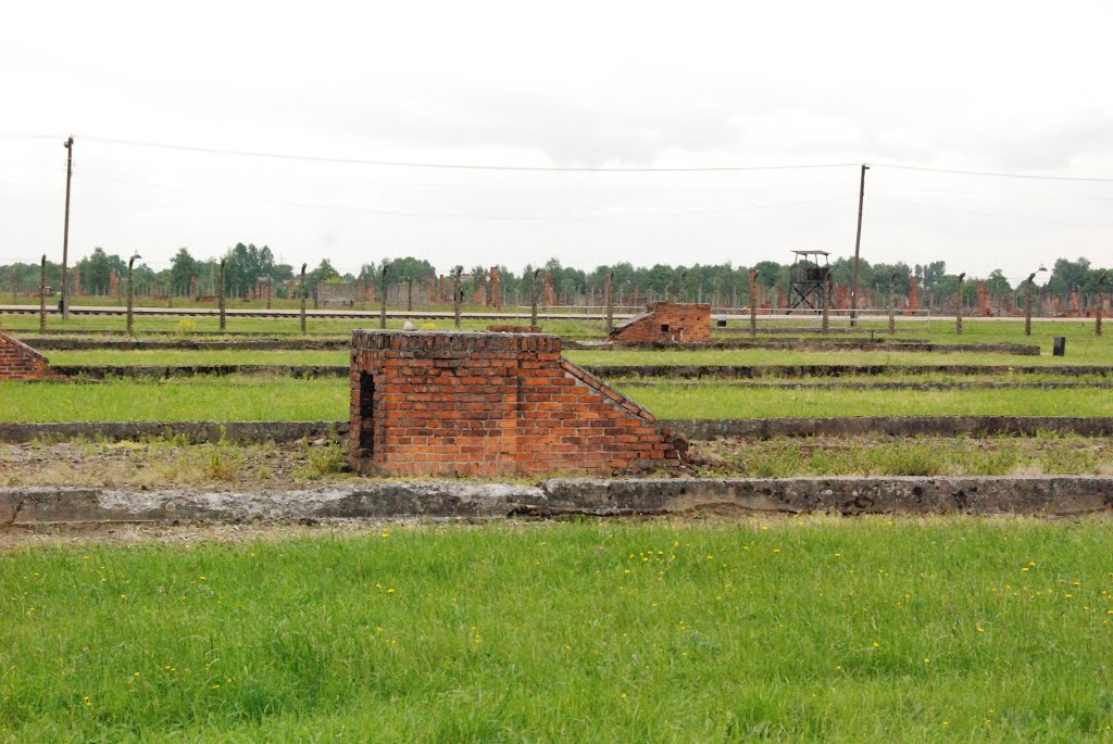 Auschwitz II Birkenau - Brzezinka by Daniel Pavlík