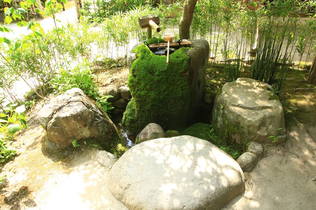 Sakyo Ward, Kyoto, Kyoto Prefecture, Japan by Yuichi Azuma