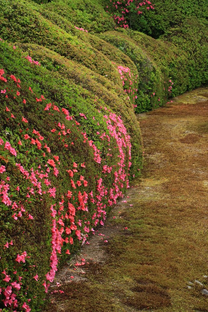 Honmachi 15-chome, Higashiyama Ward, Kyoto, Kyoto Prefecture 605-0981, Japan by Yuichi Azuma