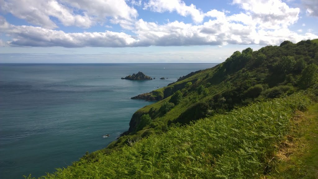 SW coast Path by Robbob Tun