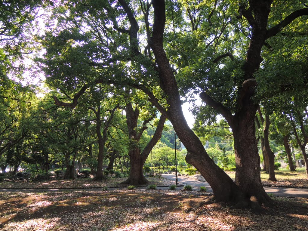 芝公園、東京都,港区 by mackenmov