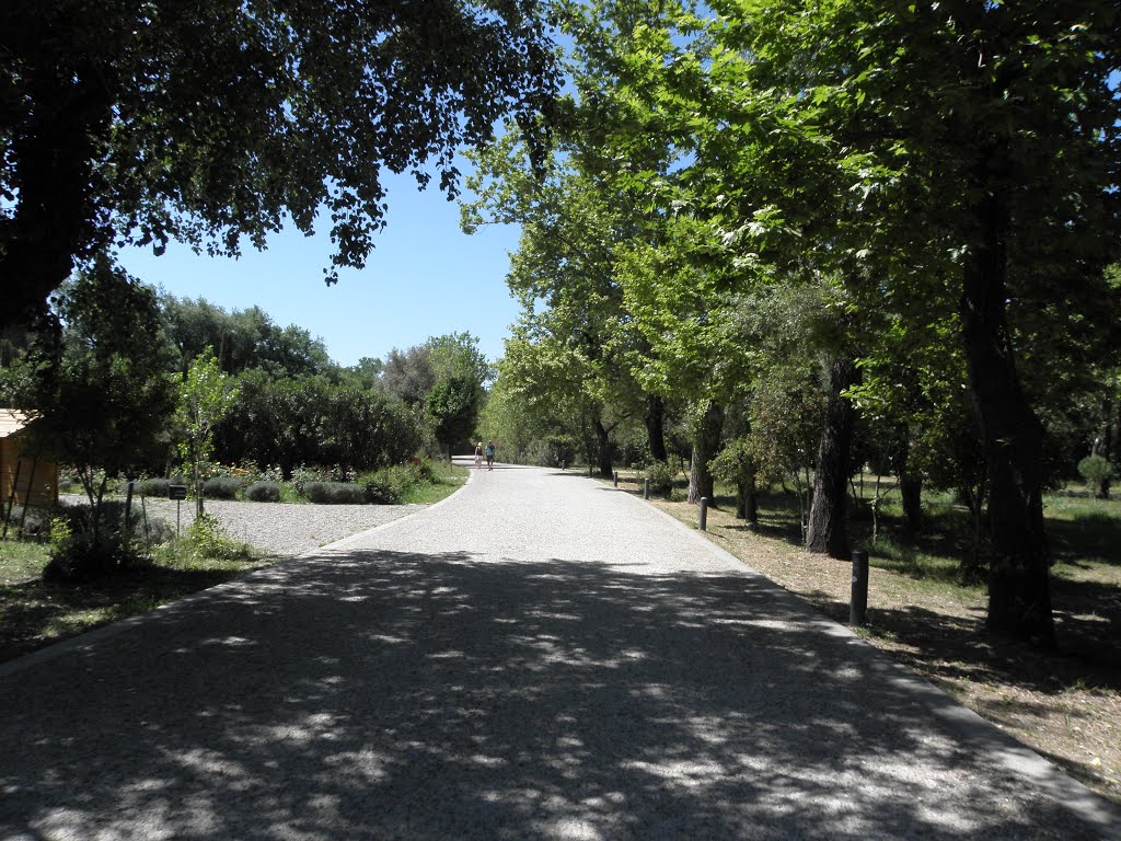 Αρχαιολογικός Χώρος, Ολυμπίας, Ελλάδα - Archaeological Site of Olympia. by KRITI201011