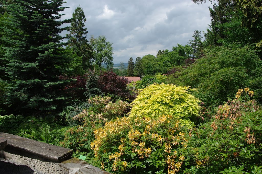 Arboretum Wojsławice by Przemek Kamiński