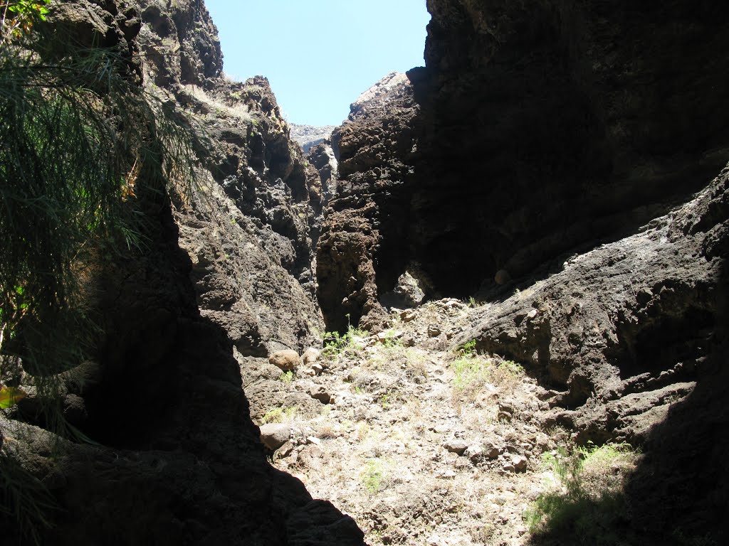 Buenavista del Norte, Santa Cruz de Tenerife, Spain by cykas