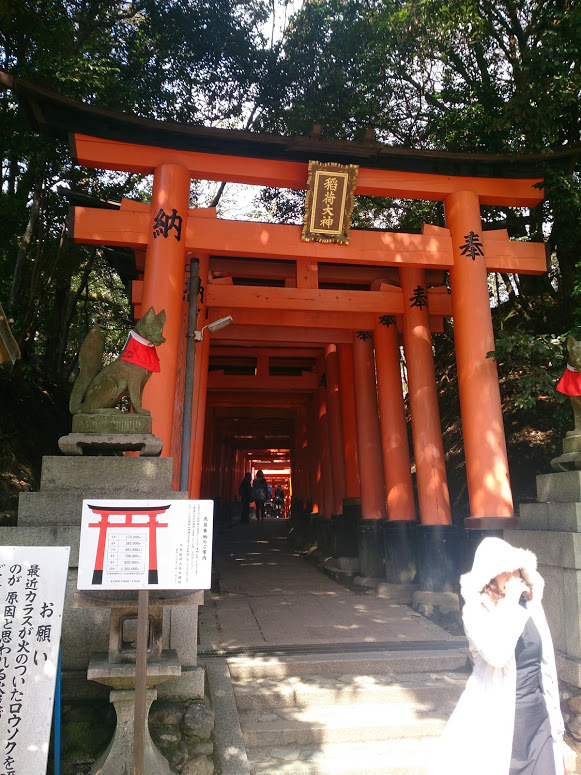 伏見稲荷大社　千本鳥居　Fushimi Inari-taisha Senbon Torii by Summy Moriyama (サミーモ…