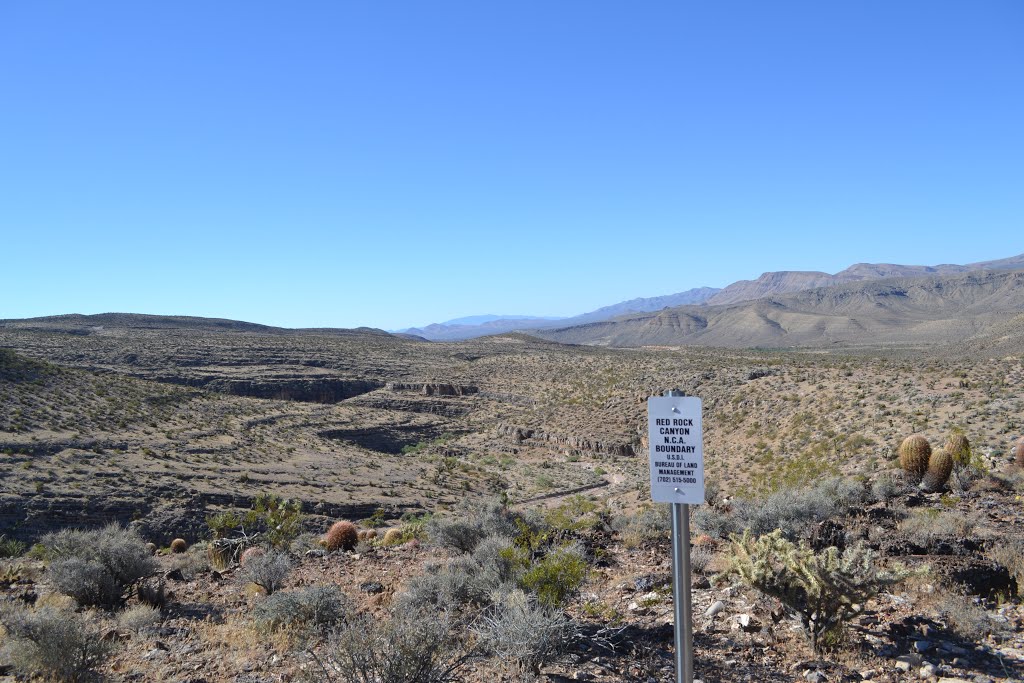 Clark County, NV, USA by Bat Steg