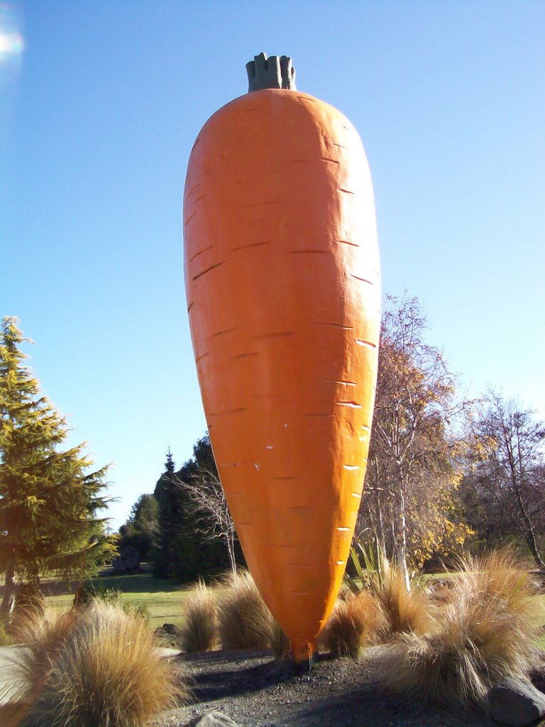 The Big Carrot by Michaeljscott