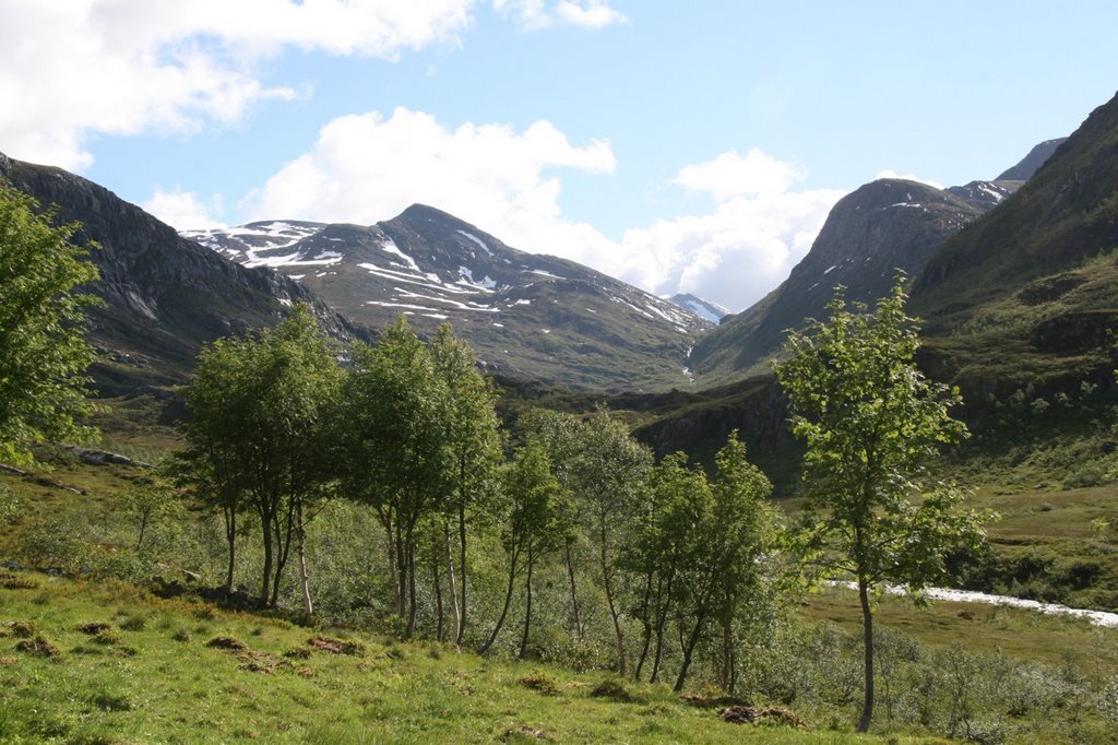 Naustådalen near Kårvatn in Todalen, Strankåbotnfjellet in the east of the valley by GK5