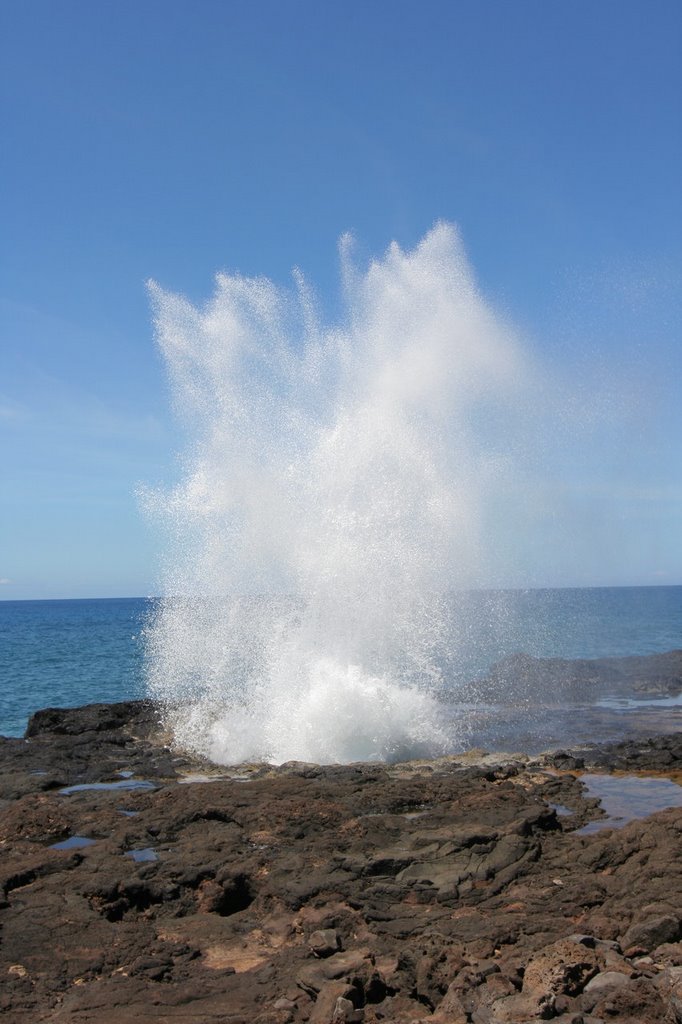 Spouting Horn by Oli Krauss